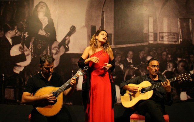 Fado Singer